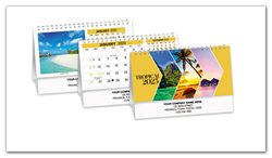 2025 Spiral Desk Calendar - Tropical